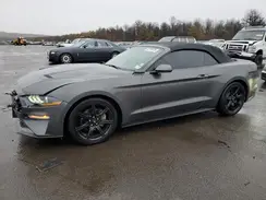 1FATP8UH6K5183780 2019 FORD MUSTANG