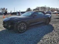 1FATP8UH6K5186727 2019 FORD MUSTANG