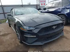 1FATP8UH6K5188672 2019 FORD MUSTANG