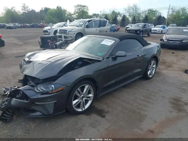 1FATP8UH6K5195802 2019 FORD MUSTANG - Image 2