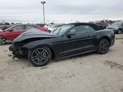 1FATP8UH6L5101631 2020 FORD MUSTANG