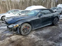 1FATP8UH6L5148481 2020 FORD MUSTANG