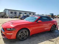 1FATP8UH6N5124426 2022 FORD MUSTANG