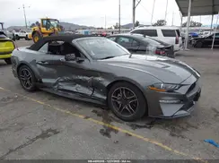 1FATP8UH6P5105099 2023 FORD MUSTANG