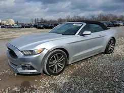 1FATP8UH7G5308034 2016 FORD MUSTANG