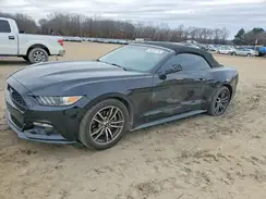 1FATP8UH7H5295769 2017 FORD MUSTANG