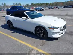 1FATP8UH7J5115146 2018 FORD MUSTANG