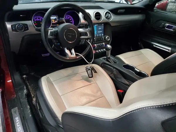 1FATP8UH7K5103872 2019 FORD MUSTANG - Image 8