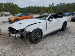 1FATP8UH7K5131509 2019 FORD MUSTANG