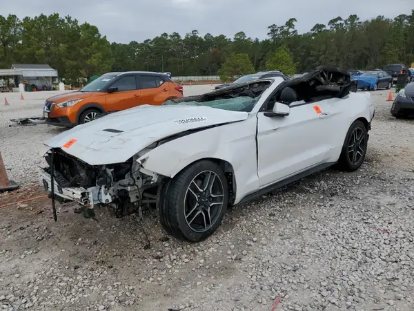 1FATP8UH7K5131509 2019 FORD MUSTANG - Image 1