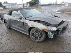 1FATP8UH7K5148679 2019 FORD MUSTANG