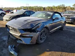 1FATP8UH7K5150853 2019 FORD MUSTANG