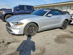 1FATP8UH7K5151162 2019 FORD MUSTANG