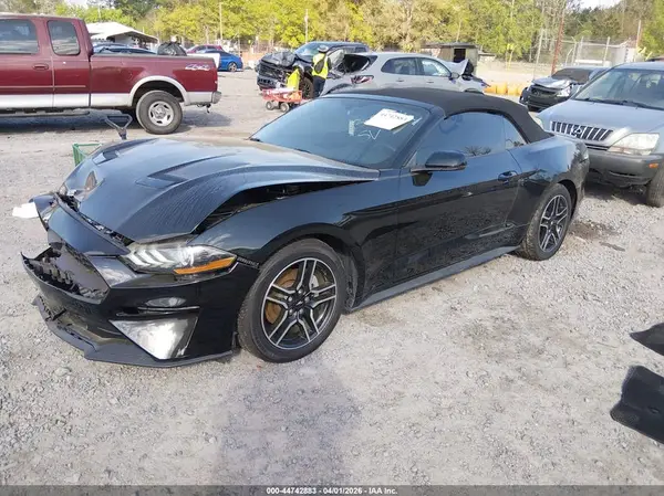 1FATP8UH7K5158287 2019 FORD MUSTANG - Image 2