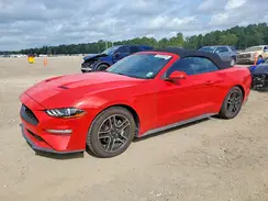 1FATP8UH7K5158841 2019 FORD MUSTANG