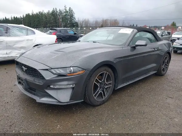 1FATP8UH7K5159147 2019 FORD MUSTANG - Image 2