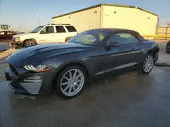 1FATP8UH7K5159813 2019 FORD MUSTANG