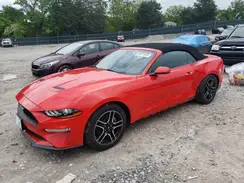 1FATP8UH7K5170388 2019 FORD MUSTANG