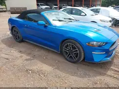 1FATP8UH7K5170648 2019 FORD MUSTANG
