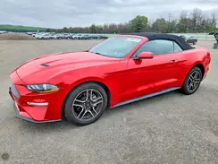 1FATP8UH7K5179351 2019 FORD MUSTANG