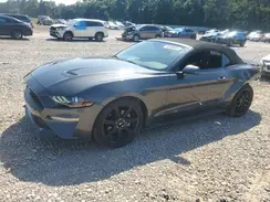 1FATP8UH7K5199745 2019 FORD MUSTANG