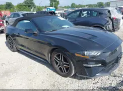1FATP8UH7L5134489 2020 FORD MUSTANG