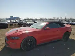 1FATP8UH7M5100733 2021 FORD MUSTANG