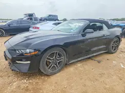 1FATP8UH7M5107343 2021 FORD MUSTANG