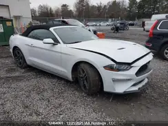1FATP8UH7M5135837 2021 FORD MUSTANG