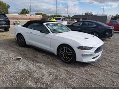 1FATP8UH7P5103359 2023 FORD MUSTANG