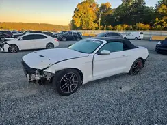 1FATP8UH7P5103684 2023 FORD MUSTANG