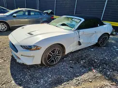 1FATP8UH7P5103958 2023 FORD MUSTANG