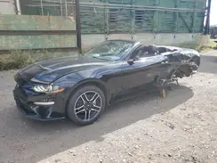 1FATP8UH7P5104513 2023 FORD MUSTANG