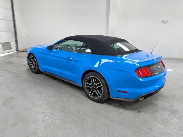 1FATP8UH7P5105693 2023 FORD MUSTANG - Image 2