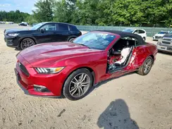 1FATP8UH8G5222134 2016 FORD MUSTANG