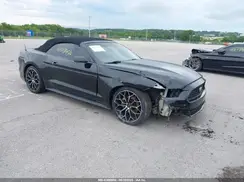 1FATP8UH8H5204783 2017 FORD MUSTANG