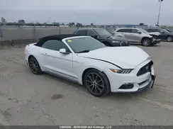 1FATP8UH8H5206730 2017 FORD MUSTANG