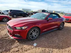 1FATP8UH8H5293187 2017 FORD MUSTANG
