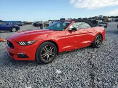 1FATP8UH8H5327161 2017 FORD MUSTANG