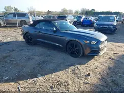 1FATP8UH8H5347216 2017 FORD MUSTANG