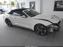 1FATP8UH8K5104481 2019 FORD MUSTANG