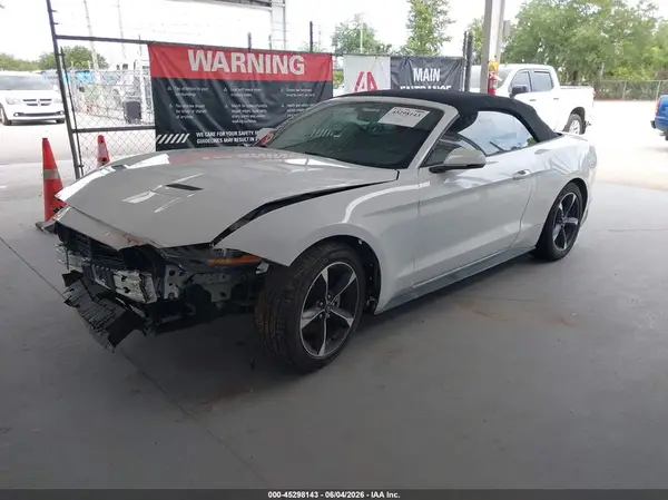 1FATP8UH8K5104481 2019 FORD MUSTANG - Image 2