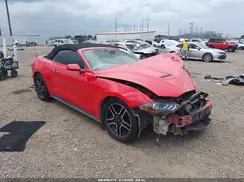 1FATP8UH8K5109843 2019 FORD MUSTANG