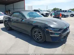 1FATP8UH8K5109910 2019 FORD MUSTANG