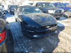 1FATP8UH8K5109955 2019 FORD MUSTANG