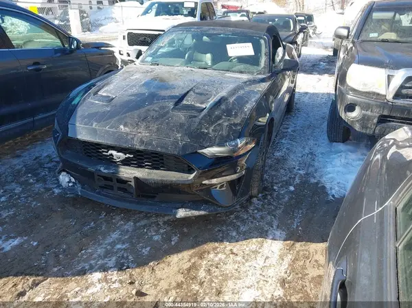 1FATP8UH8K5109955 2019 FORD MUSTANG - Image 2