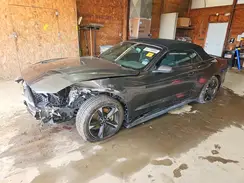 1FATP8UH8K5129669 2019 FORD MUSTANG