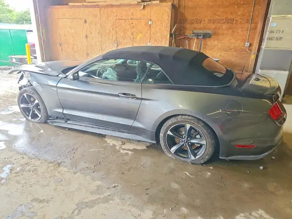 1FATP8UH8K5129669 2019 FORD MUSTANG - Image 2