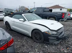 1FATP8UH8K5131213 2019 FORD MUSTANG