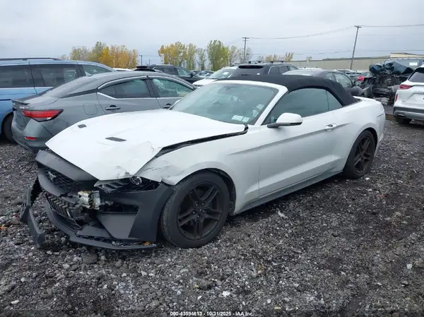 1FATP8UH8K5131213 2019 FORD MUSTANG - Image 2